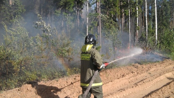 У границы Ивановской и Нижегородской областей произошел лесной пожар