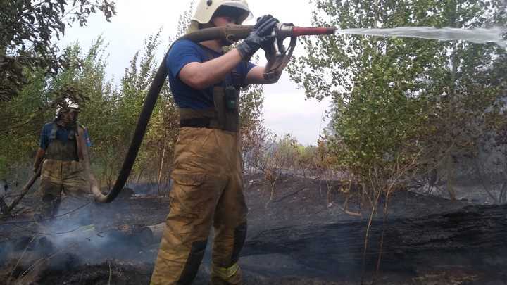 Площадь возгорания растет: в Тольятти продолжается тушение крупного лесного пожара