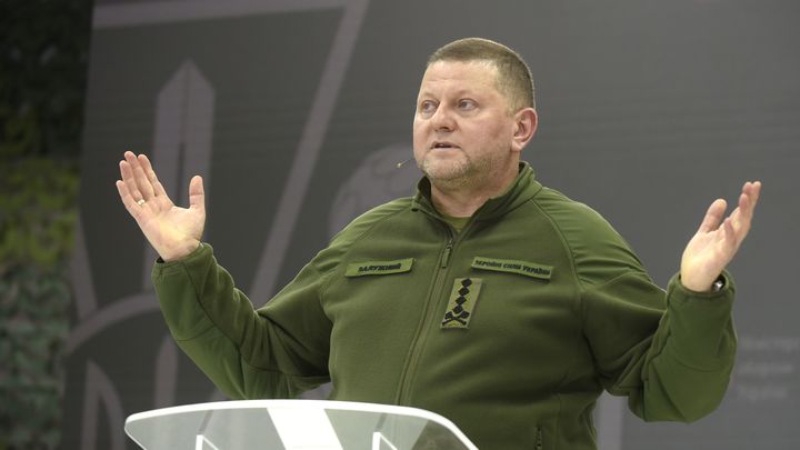 Признание Зеленского: главком ВСУ Залужный оказался не единственным кандидатом на отставку
