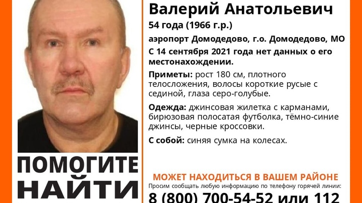 За сутки в Подмосковье начался поиск пятерых пропавших человек