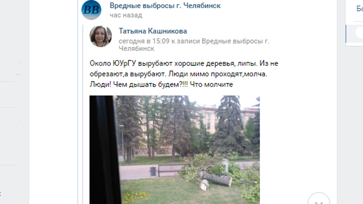 В мэрии объяснили, зачем срубили липы в центре Челябинска: они были старые