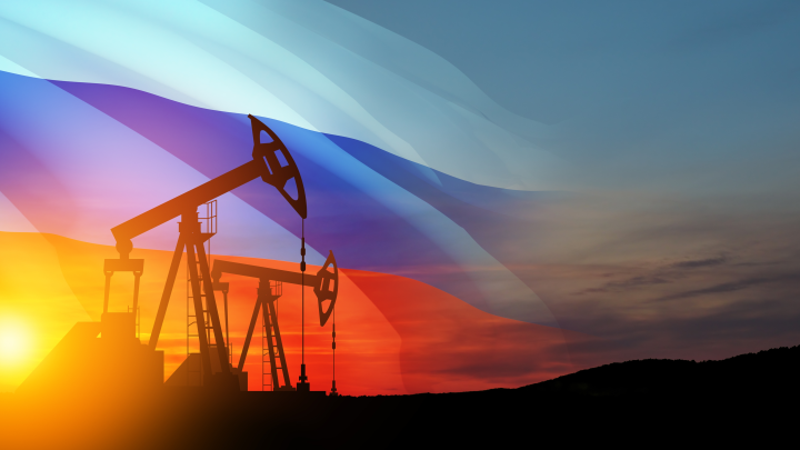 Как остановить топливный кризис в России? План Сечина оценила независимый эксперт