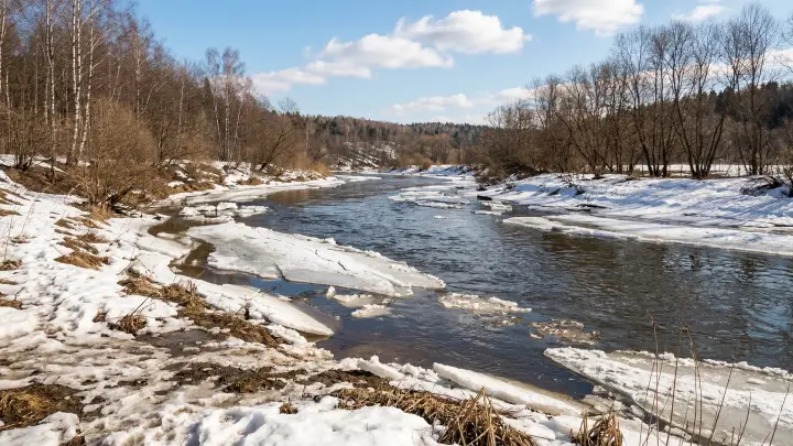 В соцсетях началась травля родителей погибших в Звенигороде мальчиков