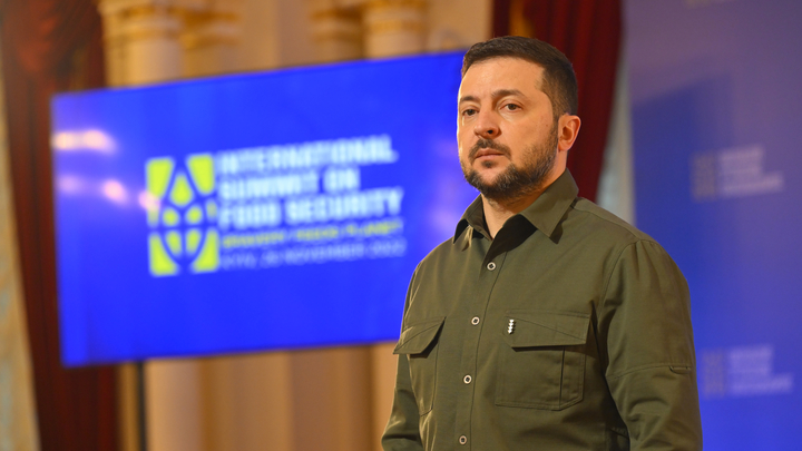 Зеленскому посоветовали думать не о выборах: Он может быть убит