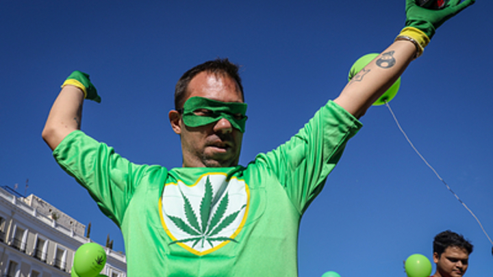 На Украине каждый куст марихуаны отметят штрих-кодом