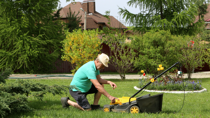 Антидепрессанты для растений. Как помочь цветам и рассаде пережить майские заморозки