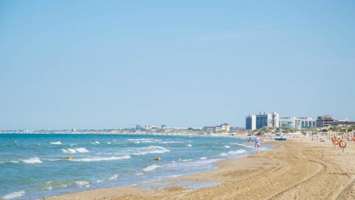 Ученые начали исследовать причину большого количества камки на пляжах Анапа