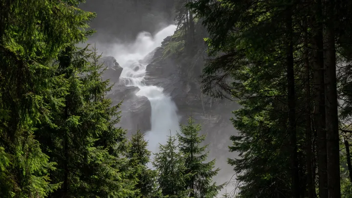 Нож, крики в лесу и загадочный маршрут: Новые улики и шокирующие свидетельства в деле Усольцевых меняют всё