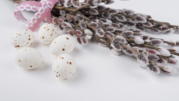 За ветку — штраф на 3,5 тысячи: в Челябинске ввели ограничения на продажу вербы