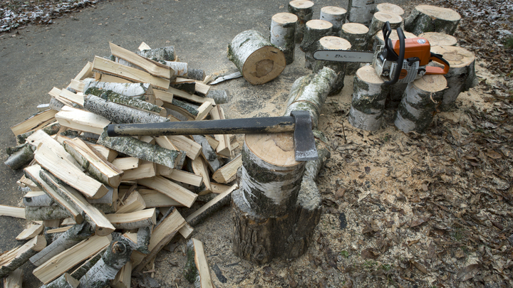 Дрова останутся в стране: Венгрия запретила вывозить древесину