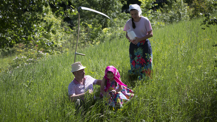 Роспотребнадзор назвал районы Свердловской области, где чаще всего кусают клещи