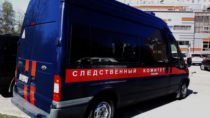 СК начал проверку после падения ребенка с двухметровой высоты в экопарке в Нижнем Тагиле