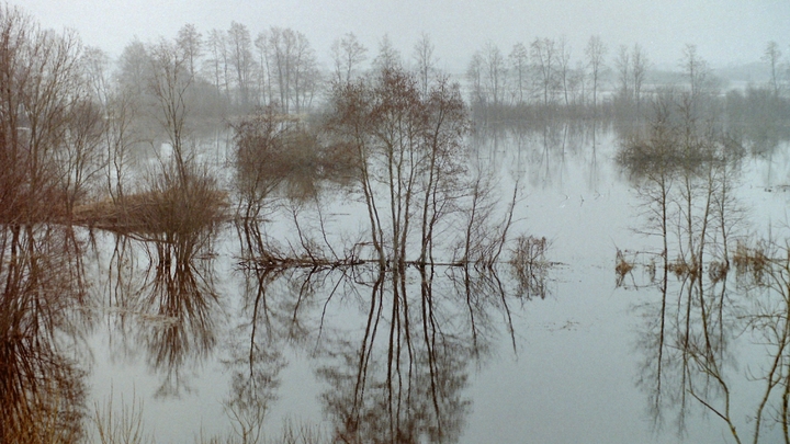Уровень воды в Чепце в Удмуртии вырос на 1 м за сутки