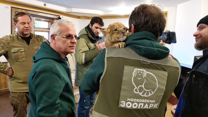 Челябинский ветврач Карен Даллакян отправился на помощь Мариуполю
