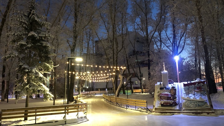 В Петровском парке открылся каток