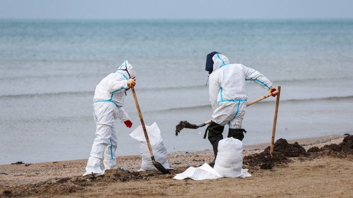 ЧС федерального уровня объявили лишь через 11 дней: Малофеев сообщил о реальной ситуации на Чёрном море