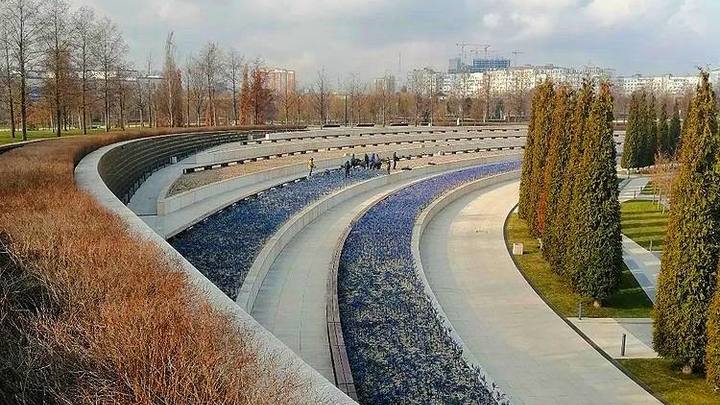 Значит скоро весна: В Парке Галицкого начали убирать светящийся шалфей