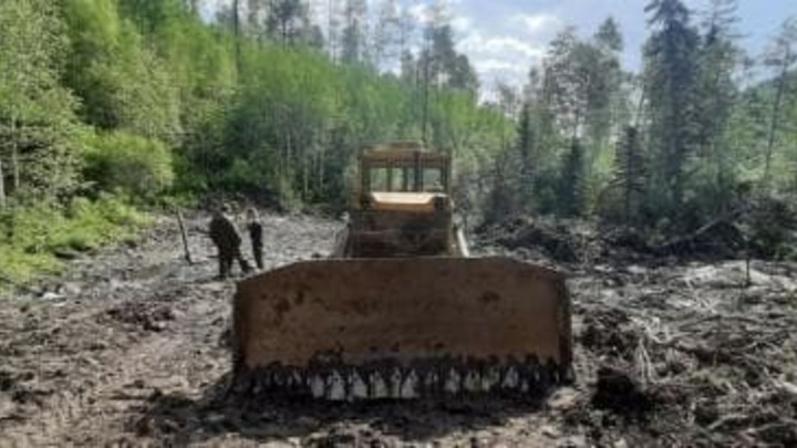 Геолог на бульдозере свернул 179 деревьев в Красночикойском районе Забайкалья