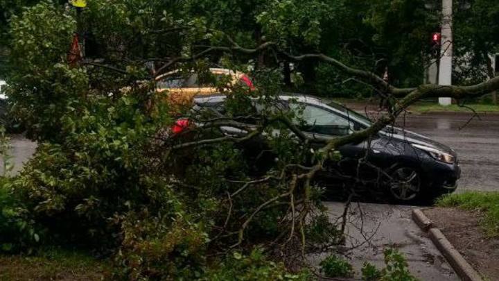 Во Владимире ликвидируют последствия вчерашнего ливня
