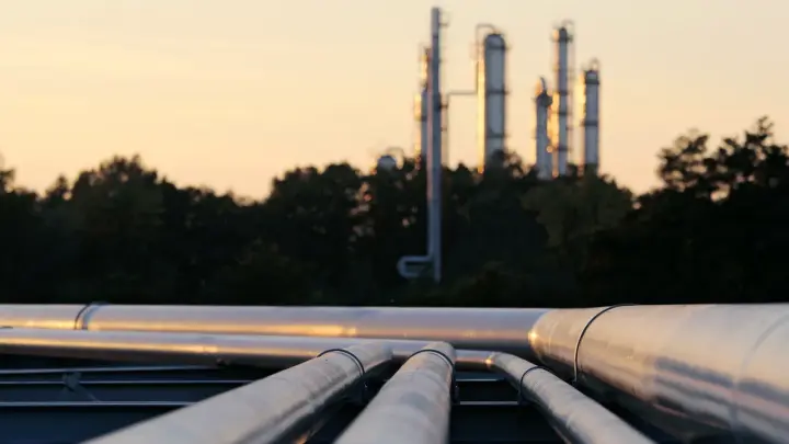 Сила Сибири: Россия больше не будет слушать западные капризы - политпсихолог разобрал всё по полочкам