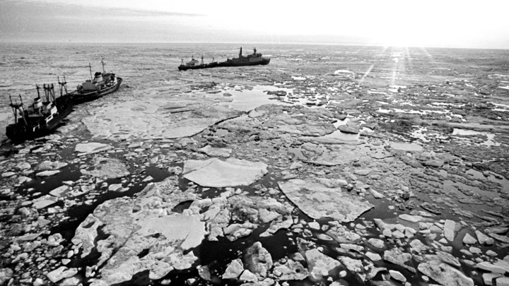 В Арктике могут быть гигантские залежи нефти: Это настоящий переворот