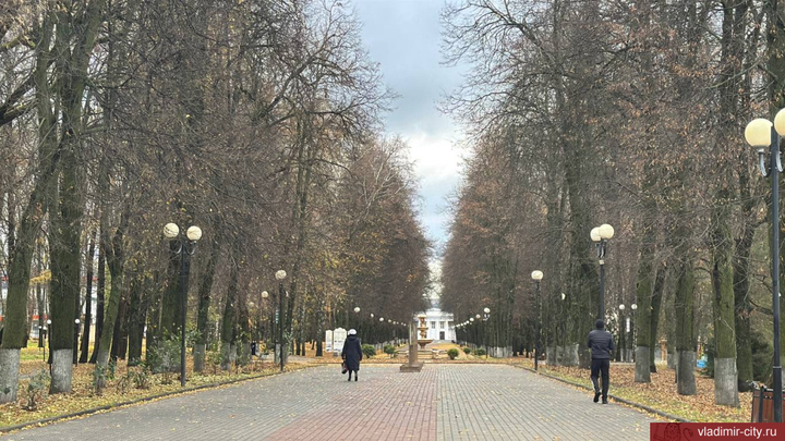 Сквер Липки во Владимире - следующий на вырубку