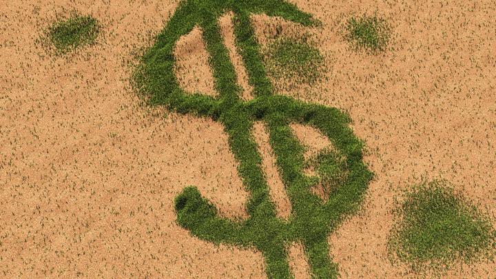 Рекурсия дня и идиотизм: Сдавшая полиции родную мать американка стала попрошайкой. Виноват Трамп