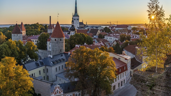 Слова Путина о походе Петра I на Нарву всполошили Эстонию: МИД вызвал посла России