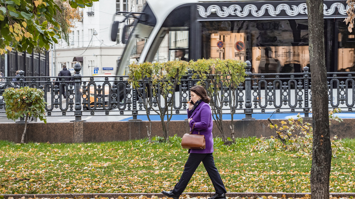 В Подмосковье люди предпенсионного возраста могут бесплатно получить новую профессию