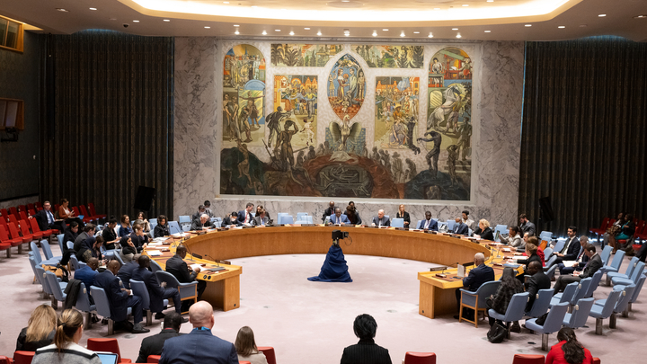 Россия запросила созыв Совбеза ООН из-за расследования по беспилотникам