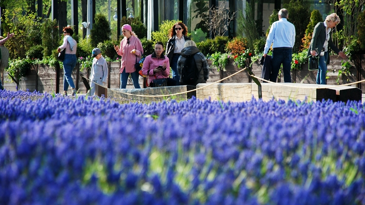 Запорожские активисты посетили эко-форум в Крыму