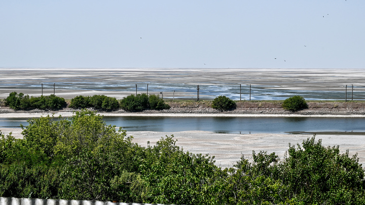 Наводнение принесло в Алёшки много мин с минных полей ВСУ