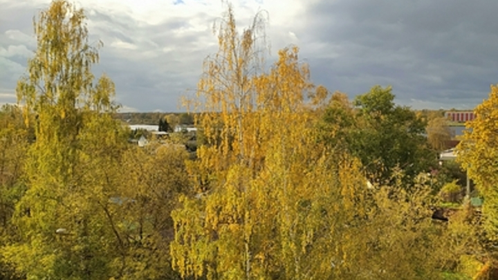 Психолог предложила бороться с осенней хандрой при помощи правильного сна