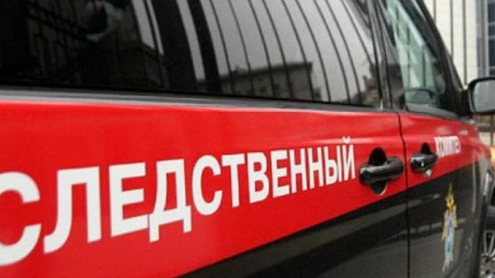 Следком возбудил уголовное дело из-за смерти 4 детей в больнице под Новосибирском