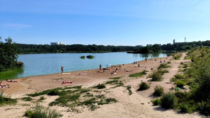 Где купаться? Все 24 пляжа Петербурга не соответствуют нормативам