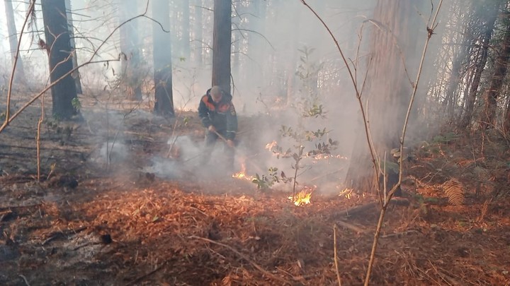 Полыхают 900 квадратов: в Темрюкском районе тушат крупный природный пожар