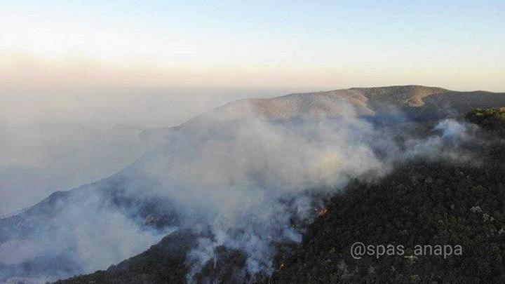 Ущерб от пожара в заповеднике «Утриш» оценили почти в 1 миллиард рублей