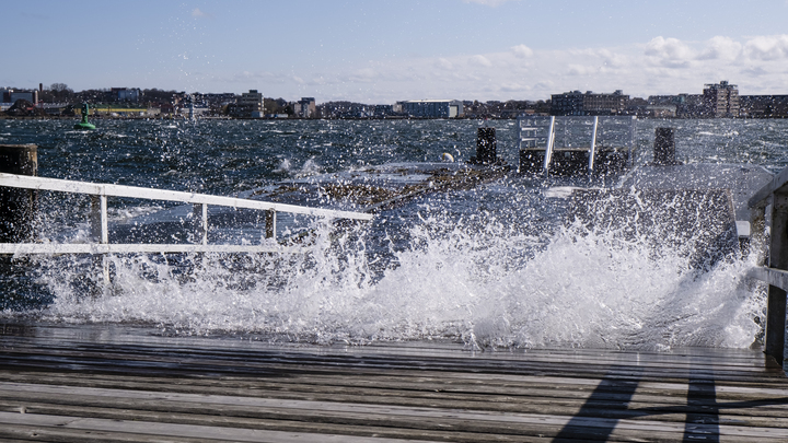 Порывы до 33 метров в секунду: На Новороссийск надвигается ураган