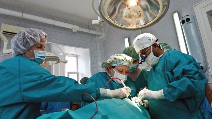 Ювелирная работа: в Адыгее врачи пришили мужчине откушенный собакой кончик носа