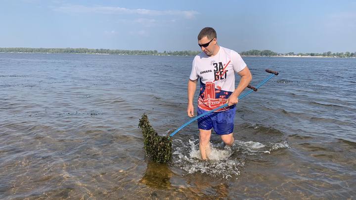 На самарских пляжах в акватории Волги идет борьба с водорослями