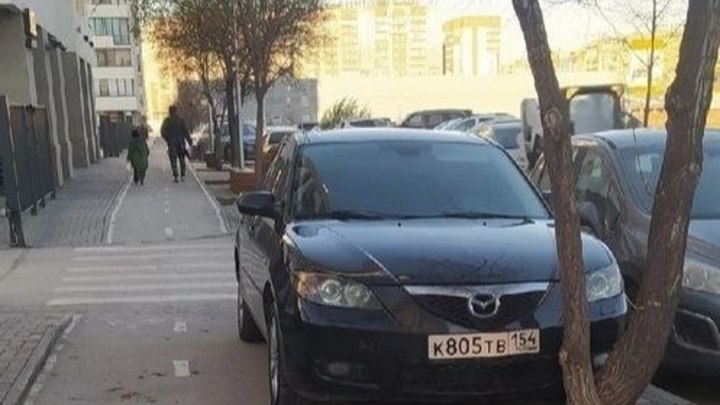 Мэр Новосибирска оценил возможность разработки приложения для борьбы с неправильной парковкой
