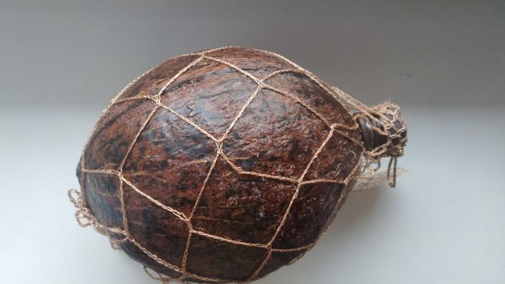 Бетон из скорлупы кокосового ореха: ноу-хау учёных из Ростова