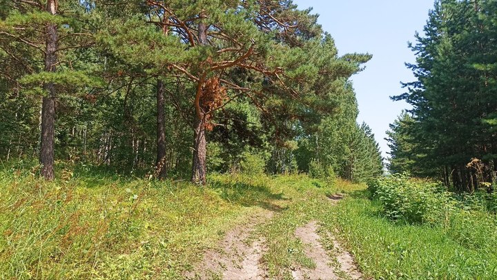 8 пропавших за месяц человек были найдены погибшими в Кузбассе