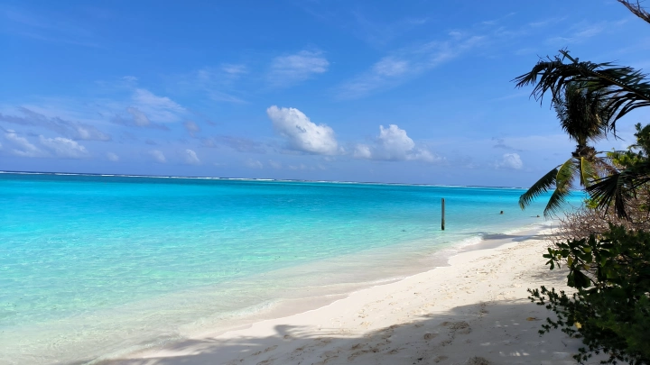 Туристка, которую забыли на необитаемом острове, погибла