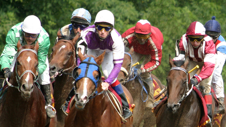 Общий призовой фонд скачек в честь образования Кубани составит 2 млн рублей