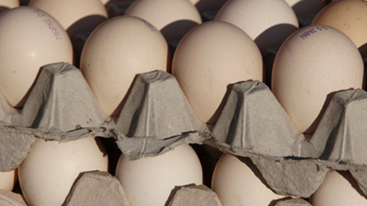 Почистить яйца за пять секунд. Необычный лайфхак с иглой