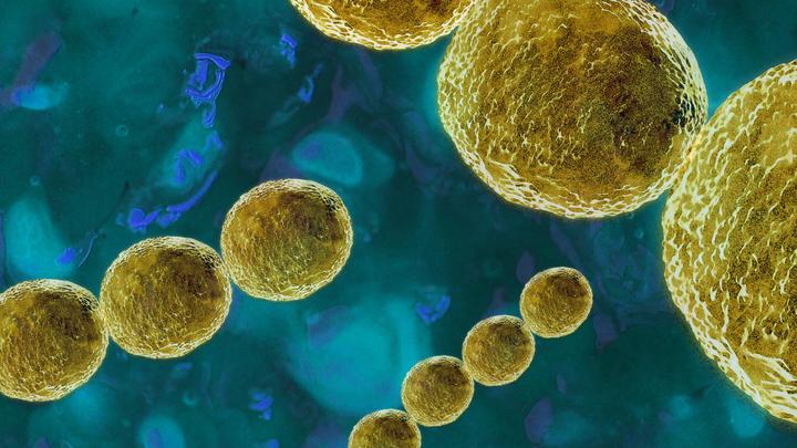 Порок сердца, болезни ЖКТ и рак: Врач указал на опасную ошибку многих людей