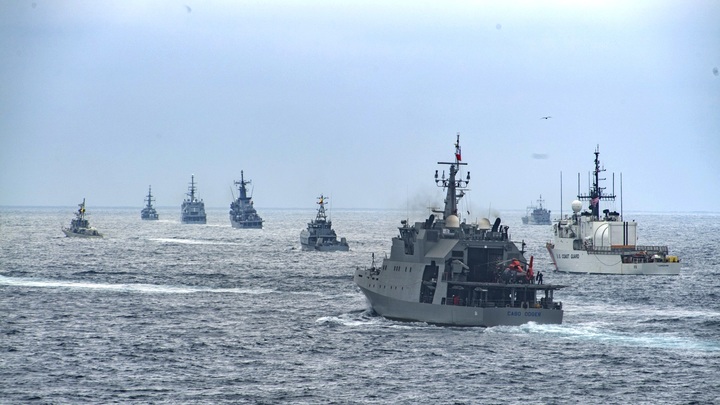 Это остудит горячие головы: Дандыкин о прививке от бешенства для НАТО и Украины