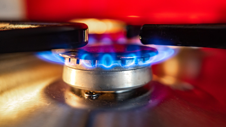 В Европе договорились, как сокращать потребление газа: С исключениями