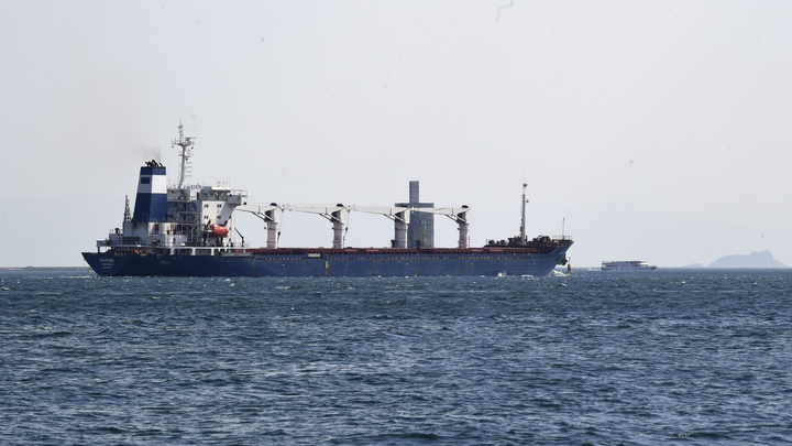 Судно с украинской кукурузой изменило маршрут